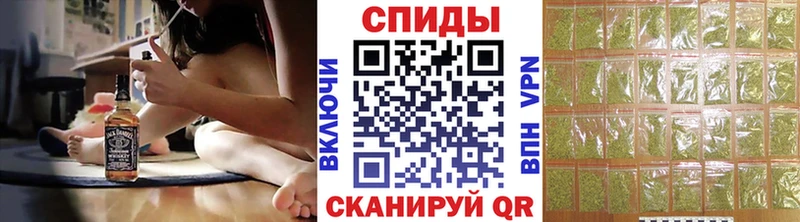 Купить где  Дигора  БУТИРАТ буратино 