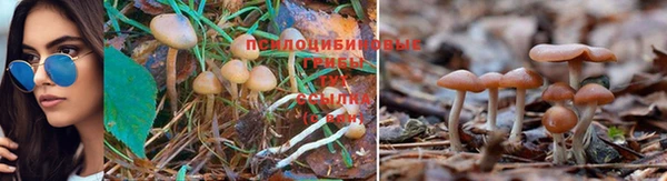 соль курить ск Каменногорск