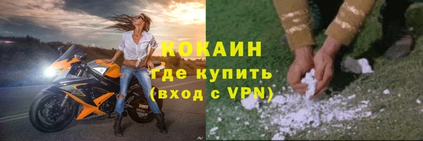 прущие крисы Каменка