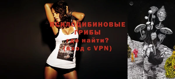 прущие крисы Каменка