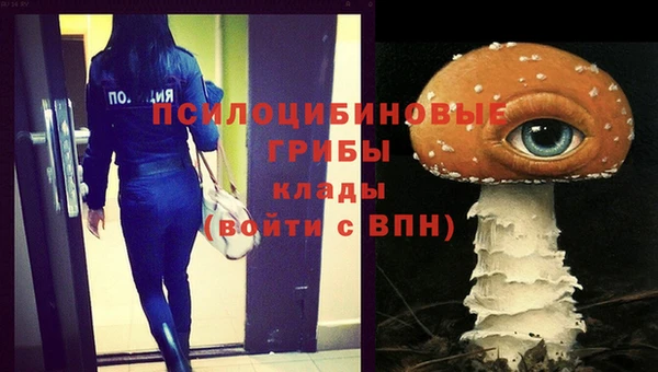 соль курить ск Каменногорск